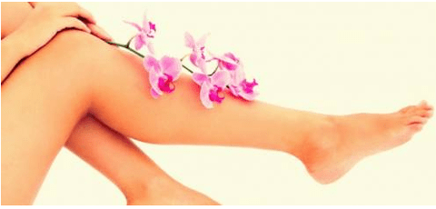 Legs without varicose veins